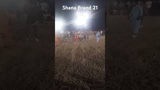 Shana Brand 21 Ala Best stop in khanywal [upl. by Smitt966]