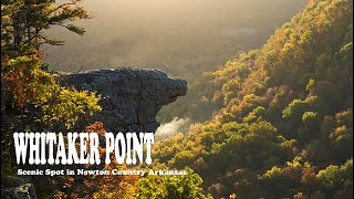 Whitaker PointHawksbill Crag Scenic spotWhitaker Point TrailOzark National Forest4k [upl. by Sonnie]