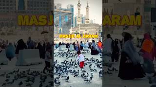 Arrahman beautiful recitation ❤️  surah arrehman madina haram mecca peace allahuakbar [upl. by Sedicla]