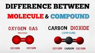 DIFFERENCE BETWEEN A MOLECULE amp A COMPOUND   AboodyTV   Chemistry [upl. by Publias385]