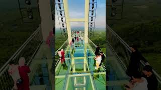 Misty land glass bridge at mini ooty malayalamdjremixsongs minivlog festivibes mallu alleppey [upl. by Naimaj348]