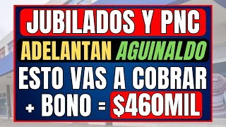 ✨ 460 MIL PESOS Aguinaldo  Bono  Aumento para los Jubilados y Pensionados  INFLACION MILEI [upl. by Connie]