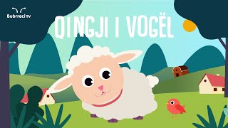 Qingji i Vogël  Këngë për Fëmijë  Bubrreci TV kengeperfemije [upl. by Robi43]