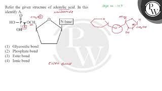 Refer the given structure of adenylic acid In this Page no 107 identify A [upl. by Pooi]