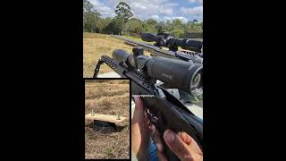 Shooting aerosol gas cans with Ruger Precision 22 Rimfire Rifle wearegundays guns shooting [upl. by Iveksarap]