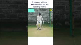 A Batsman is hitting the ball across the line resulting in LBW [upl. by Karlise264]