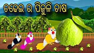 Chadhei Ra Pijuli Chasa \\ Odia Stories \\ Odia Gapa \\ Bird Story \\ Chadhei Gapa \\ Kahani [upl. by Omarr]