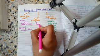 COMPLICATIONS OF SUPPURATIVE OTITIS MEDIA part 1 pathways of infection spread in easy way [upl. by Yrret]