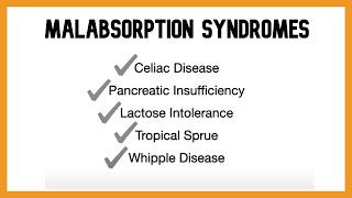 Malabsorption Syndromes [upl. by Alfreda563]