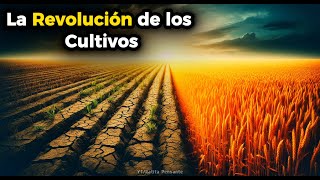 El desarrollo de la agricultura Innovaciones que Cambiaron la Historia de cultivos [upl. by Aleahc]