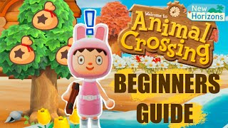 The Ultimate Beginners Guide  Animal Crossing New Horizons Tips amp Tricks [upl. by Mou210]