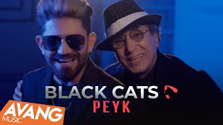 Black Cats  Peyk OFFICIAL VIDEO  بلک کتس  پیک [upl. by Sibeal697]