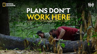 Plans Don’t Work Here  Primal Survivor  हिन्दी  Full Episode  S2  E2  National Geographic [upl. by Starlin427]