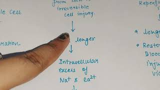 ischaemic reperfusion injury in hindi  pathology in hindi [upl. by Arnst940]