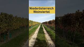 Das Lied vom Wein [upl. by Ecinna]