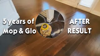 5 years of Mop amp Glo on engineered hardwood floors  How to remove wax to restore wood floors [upl. by Delanos]