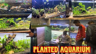 PLANTED AQUARIUM SETUP AVAILABLE IN BHOPAL  FISH AN FUN BHOPAL  COMPLETE AQUARIUM SHOP BHOPAL MP [upl. by Margery58]