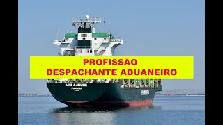 PROFISSÃO DESPACHANTE ADUANEIRO [upl. by Llarret287]