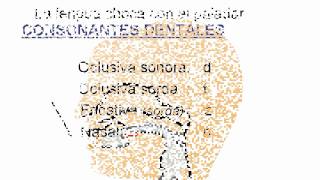 Fonética y Fonología del español El aparato fonador Diferencia entre sonido y signo [upl. by Okika]