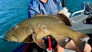 Melbourne to Airlie Beach camping and fishing [upl. by Stila631]