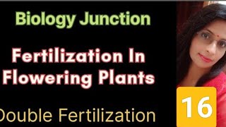 Fertilization in Plants  Double Fertilization  Triple Fusion  Syngamy [upl. by Muscolo37]