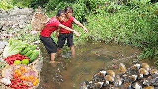 Survival in the rainforest Catch and cook two fish Spicy fish cooking Duck curry tasty 6 videos [upl. by Phaedra]