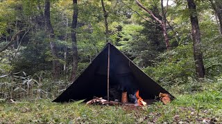 【Solo Camping】 Overnight in the Autumn Wilderness in a Polish Lavvu  Bushcraft [upl. by Alahsal]