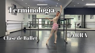 Terminología Básica para Clase de Ballet  Barra [upl. by Yrtnej]