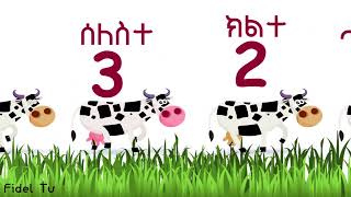 Tigrinya Alphabets Numbers Words Colors Animals  ንባብ ፊደላት  ቁጽርታት  ሕብርታት  እንስሳታት  Part 1 [upl. by Ydne931]