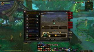 WoW Legion  Championing our cause  Quest Guide [upl. by Raouf]