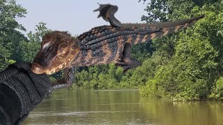 Cuviers Dwarf Caiman Bite Training How and Why I do it [upl. by Nelrsa]