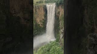 Howick falls discovery wildlife girnationalpark kishoreda travel nationalgeographicindia [upl. by Castera]