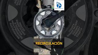 Como poner la depuradora en recirculación en piscina piscinas valvulaselectora recirculacion [upl. by Kalindi485]