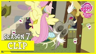 Making Discord Chaotic Again Discordant Harmony  MLP FiM HD [upl. by Ball499]