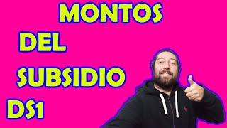 😎 Cómo calcular los montos del subsidio DS1 Clase Media para cada tramo 😎 [upl. by Skelton]