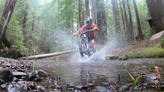 Jackson demonstration forest MTB trail [upl. by Divd861]