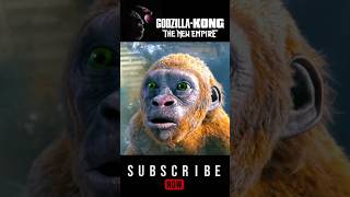 Godzilla X Kong The New Empire part Four Recap in hindi Explained in hindi shorts ytshorts kong [upl. by Ryle]