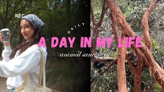 A DAY IN THE LIFE  animal sanctuary [upl. by Ahsinev547]