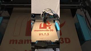 Mammoth3D Speedrun on VZBot [upl. by Hauhsoj946]