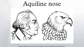 Aquiline nose [upl. by Kcirreg905]