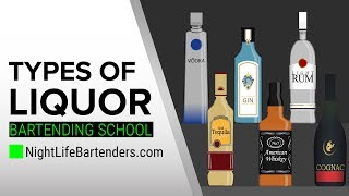 Types of Liquor  Bartending School [upl. by Luci952]