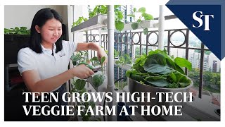 Teen grows sustainable hydroponic farm at home [upl. by Silevi]