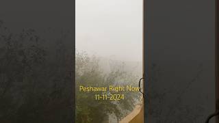 Today Peshawar  Peshawar Weather Today  Foggy Weather [upl. by Ylen]