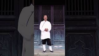 Wudang Tai Chi vs Other Tai Chi Explained [upl. by Bette]