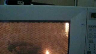 Microwave magnetron burning out [upl. by Hannaoj]