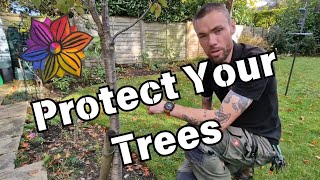 Protect Your Trees and Prevent Girdling [upl. by Morna224]