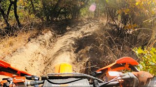 Rutting for Glory Epic Trails at Jacksonville Johns Peak [upl. by Levona]