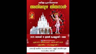 Athirampuzha Thirunnal 2025 Promo video [upl. by Akemehc]