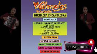 Muchacha Encantadora  Los Vallenatos de la Cumbia [upl. by Enelia]