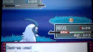 Shiny Bagon  Pokemon Platinum [upl. by Jolda348]